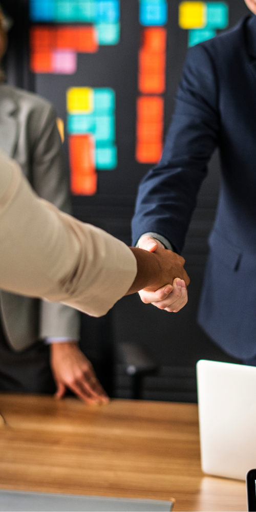 Notty-Noodles-Franchise